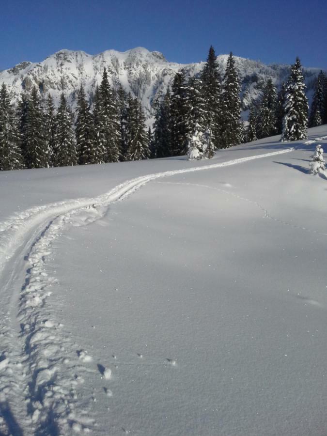 Alpenappartement Kleiner Tannheim Bagian luar foto